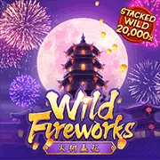 phao hoa wild