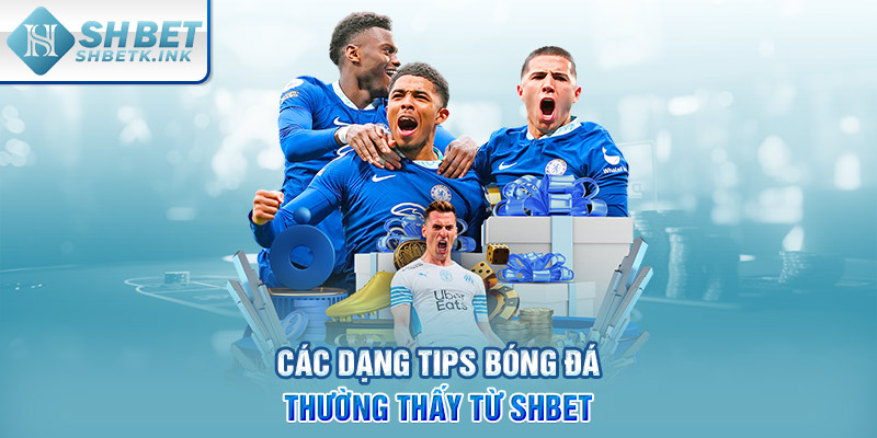 Các dạng tips bóng đá thường thấy từ SHBET