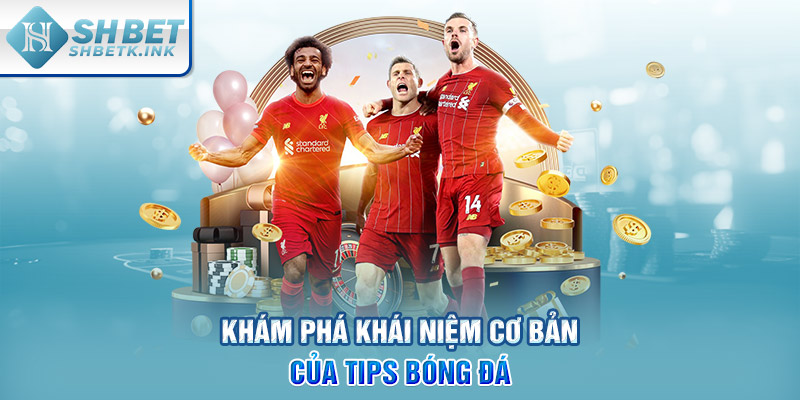 Khám phá khái niệm cơ bản của tips bóng đá
